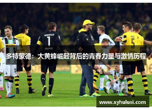 多特蒙德：大黄蜂崛起背后的青春力量与激情历程