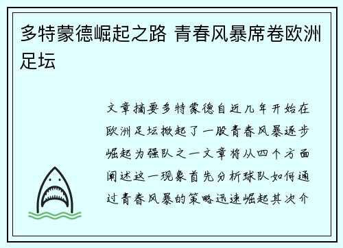 多特蒙德崛起之路 青春风暴席卷欧洲足坛
