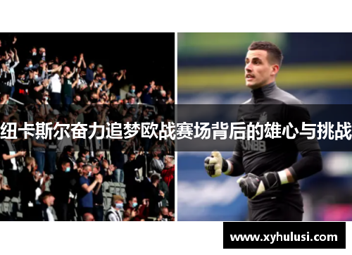 纽卡斯尔奋力追梦欧战赛场背后的雄心与挑战